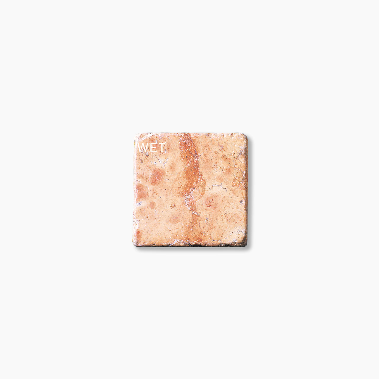 コットベネット1002