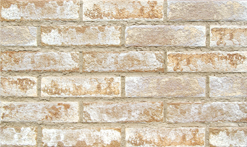 ラスティカ ミュール