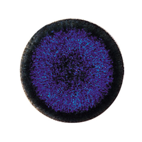 オザワの丸（内装モザイク）