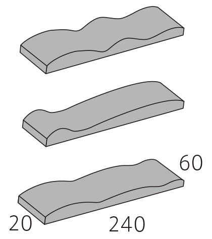 ドレッサージュ5
