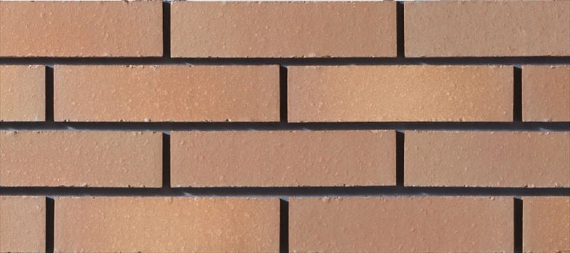 火色音(ひいろね)土もの3