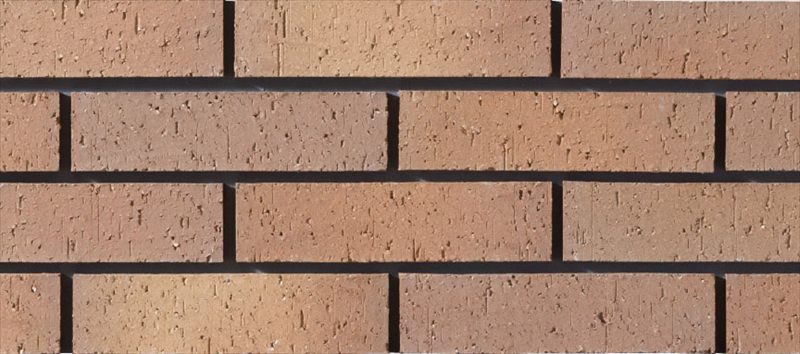 火色音(ひいろね)土もの3