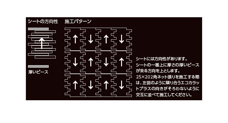 エコカラットプラス ディニタ7