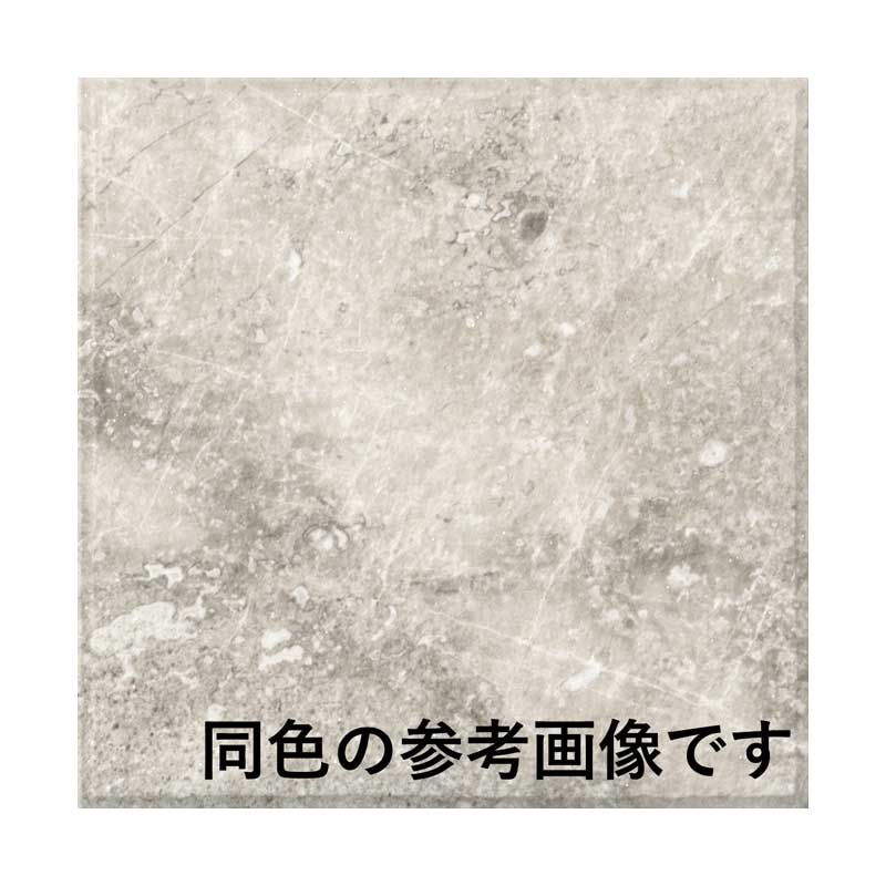 エコカラットプラス サンティエ