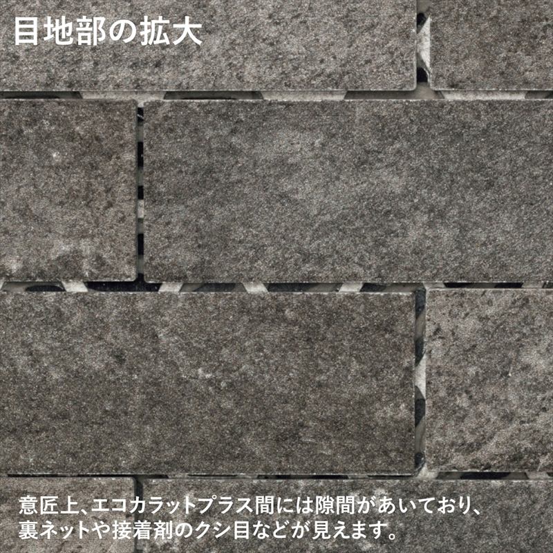 エコカラットプラス ルドラNX8