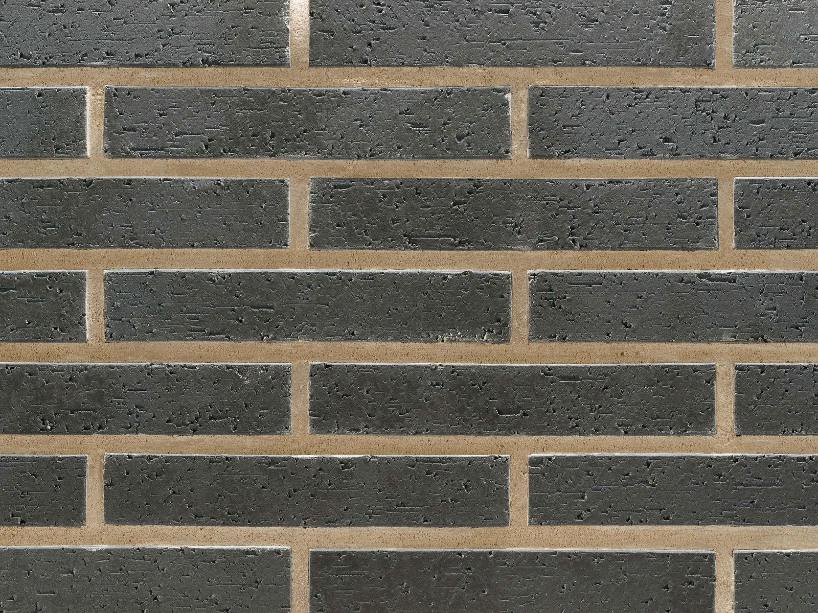 クラシックボーダー・ネオ