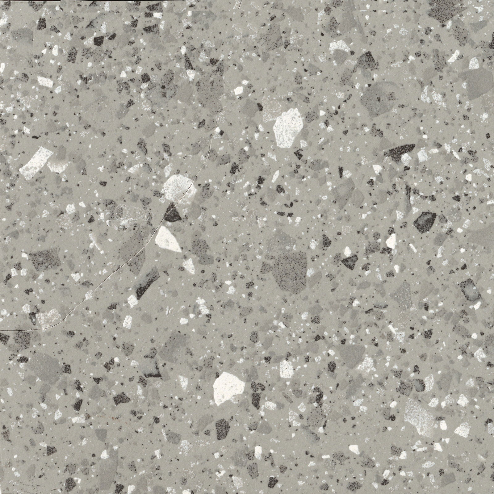 ベニス ヴィッラ