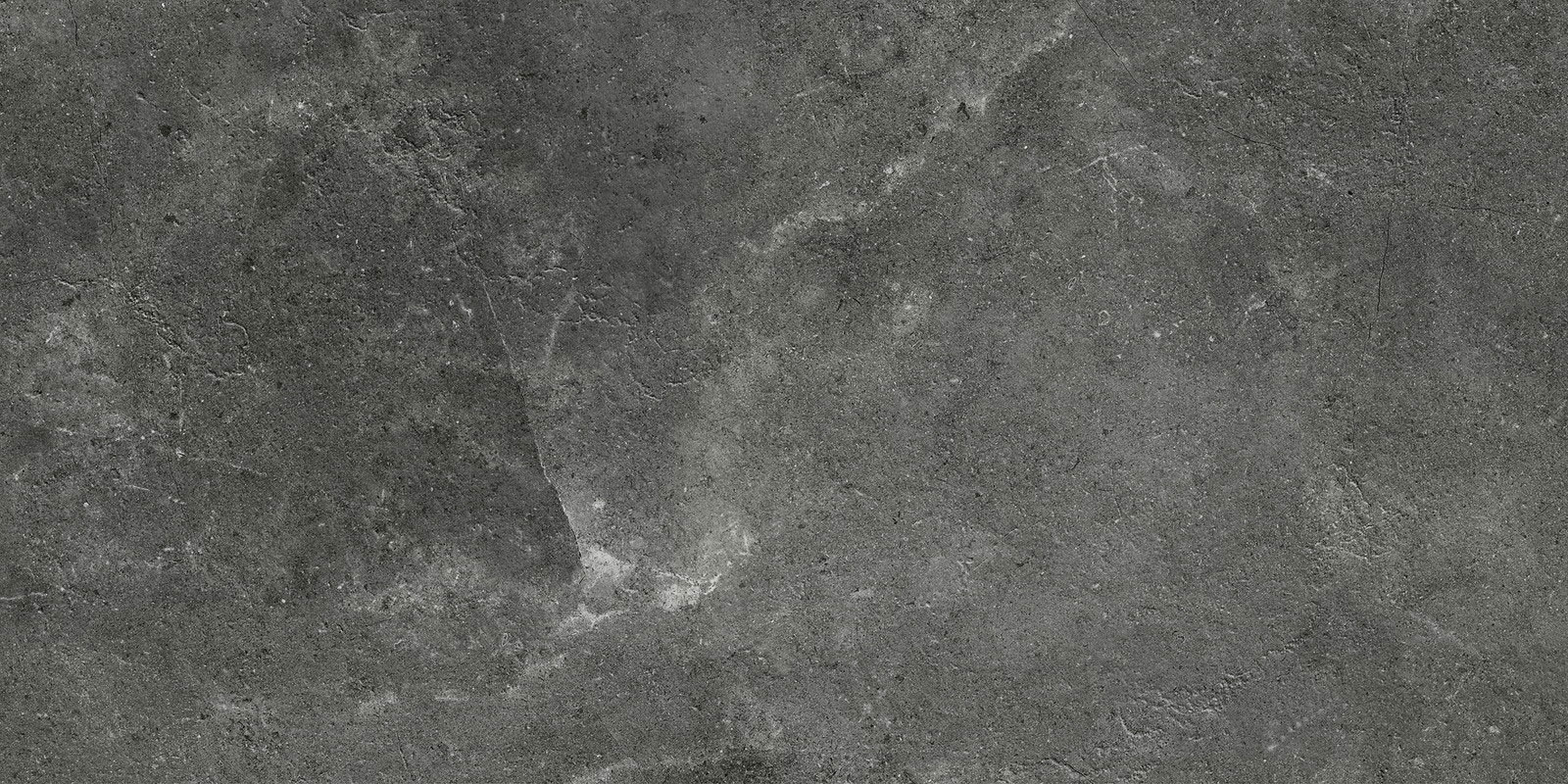 ダイバーシティ