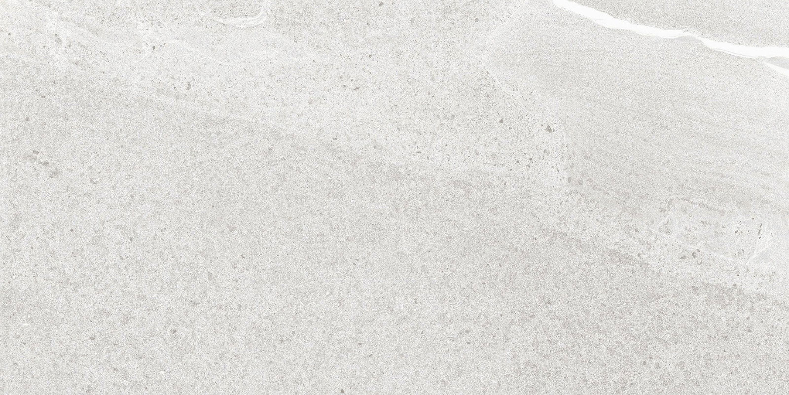 ダイバーシティ