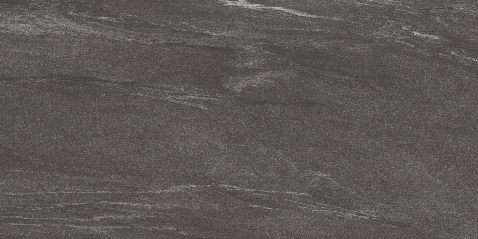 ダイバーシティ2