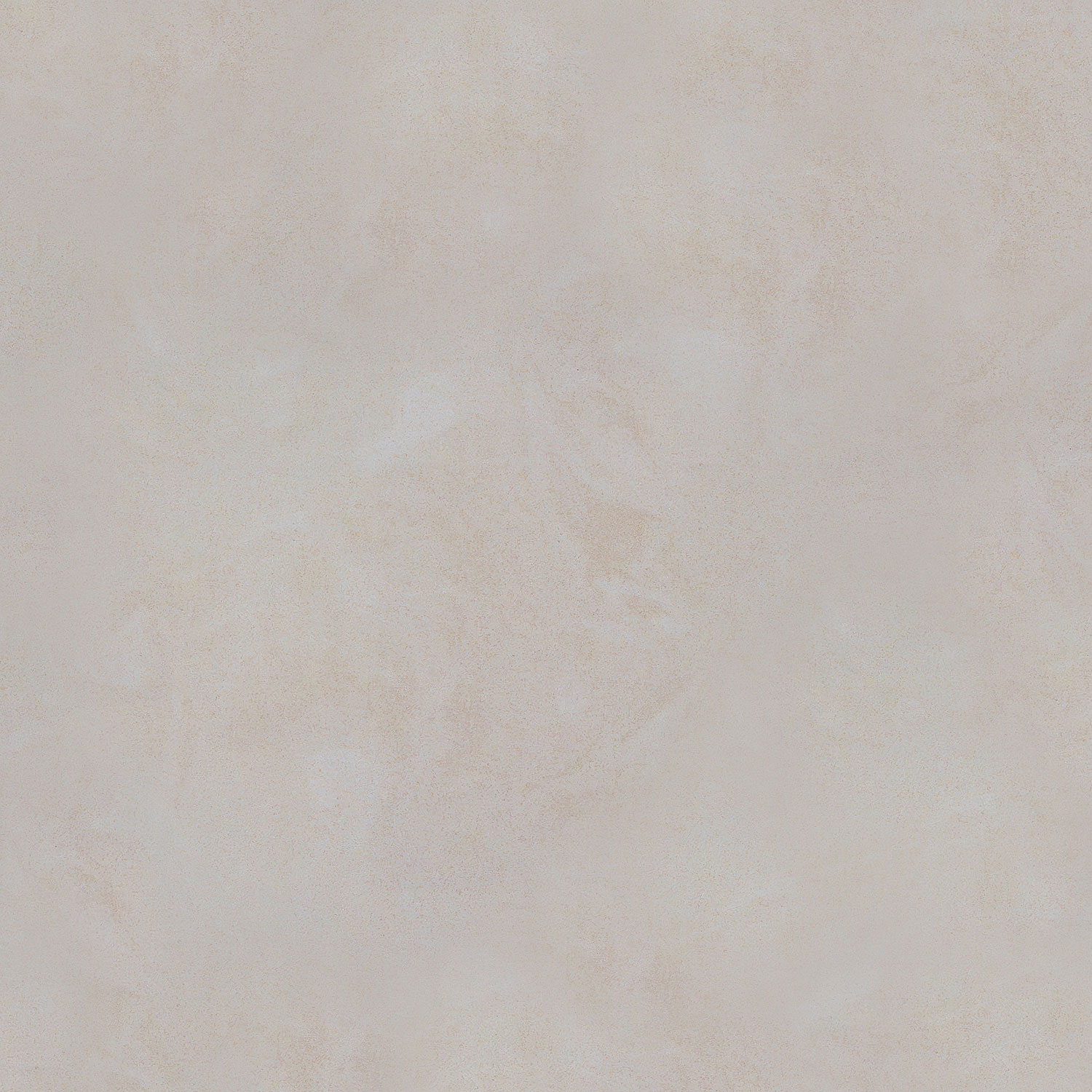 バチカンパラディオ