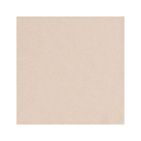 ブラッコムソフト