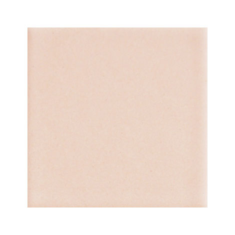 ブラッコムソフト