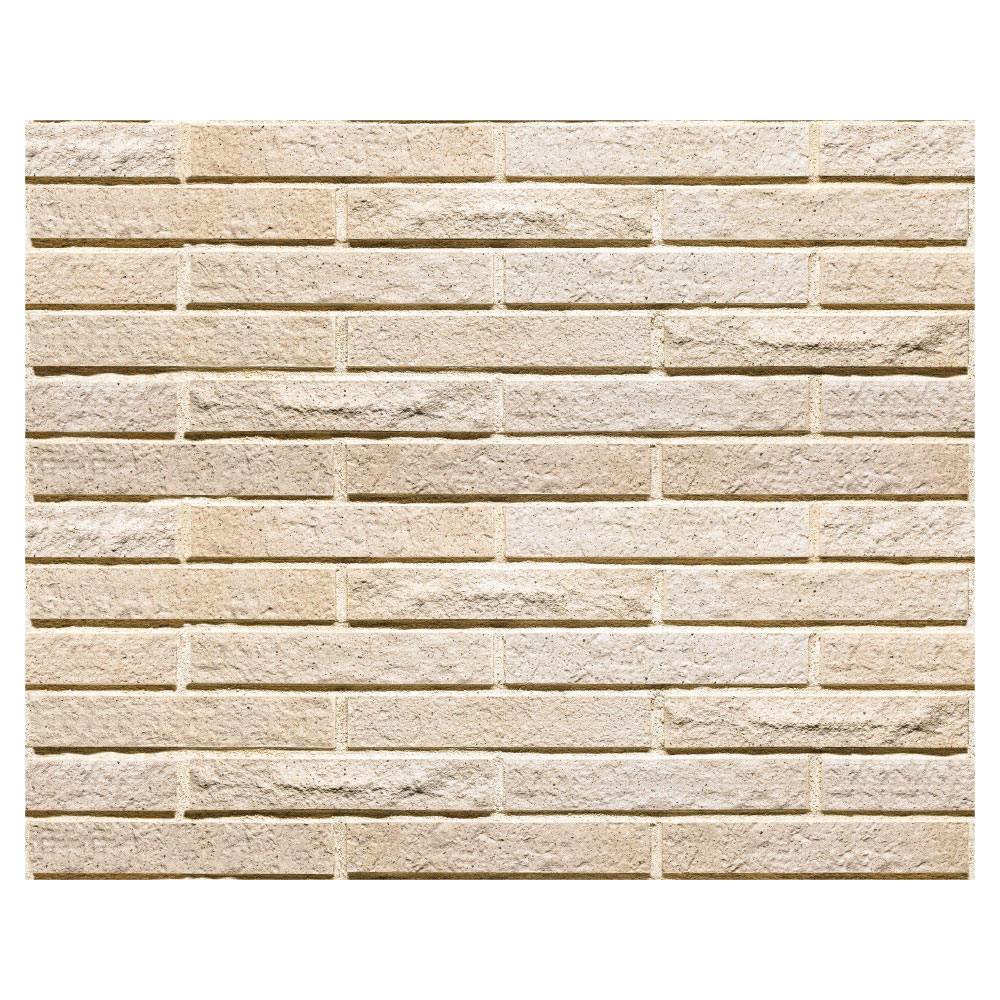 シエラボーダー［CEB］2