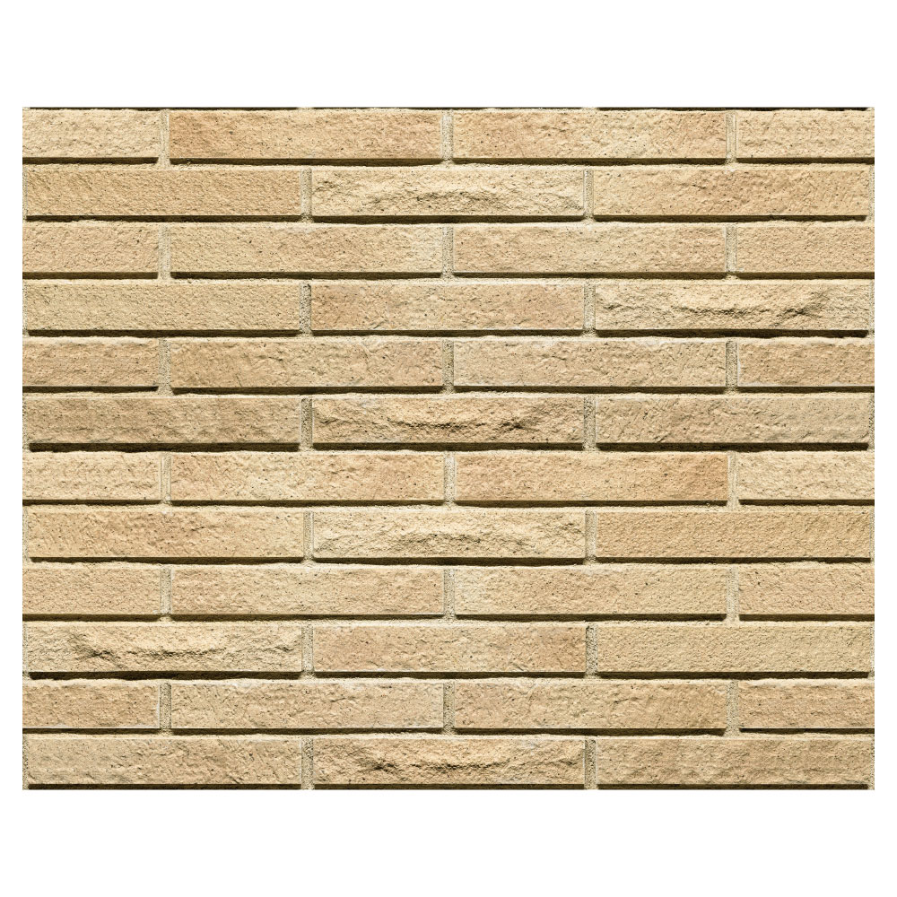 シエラボーダー［CEB］2