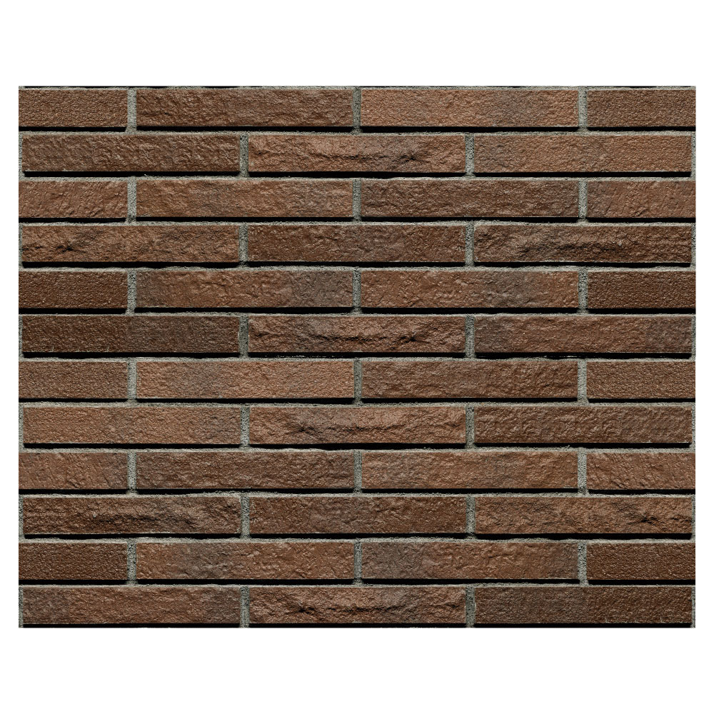 シエラボーダー［CEB］2