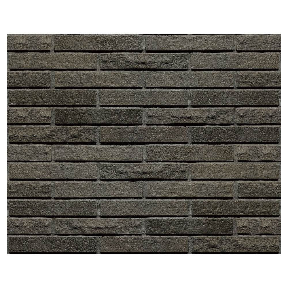 シエラボーダー［CEB］2