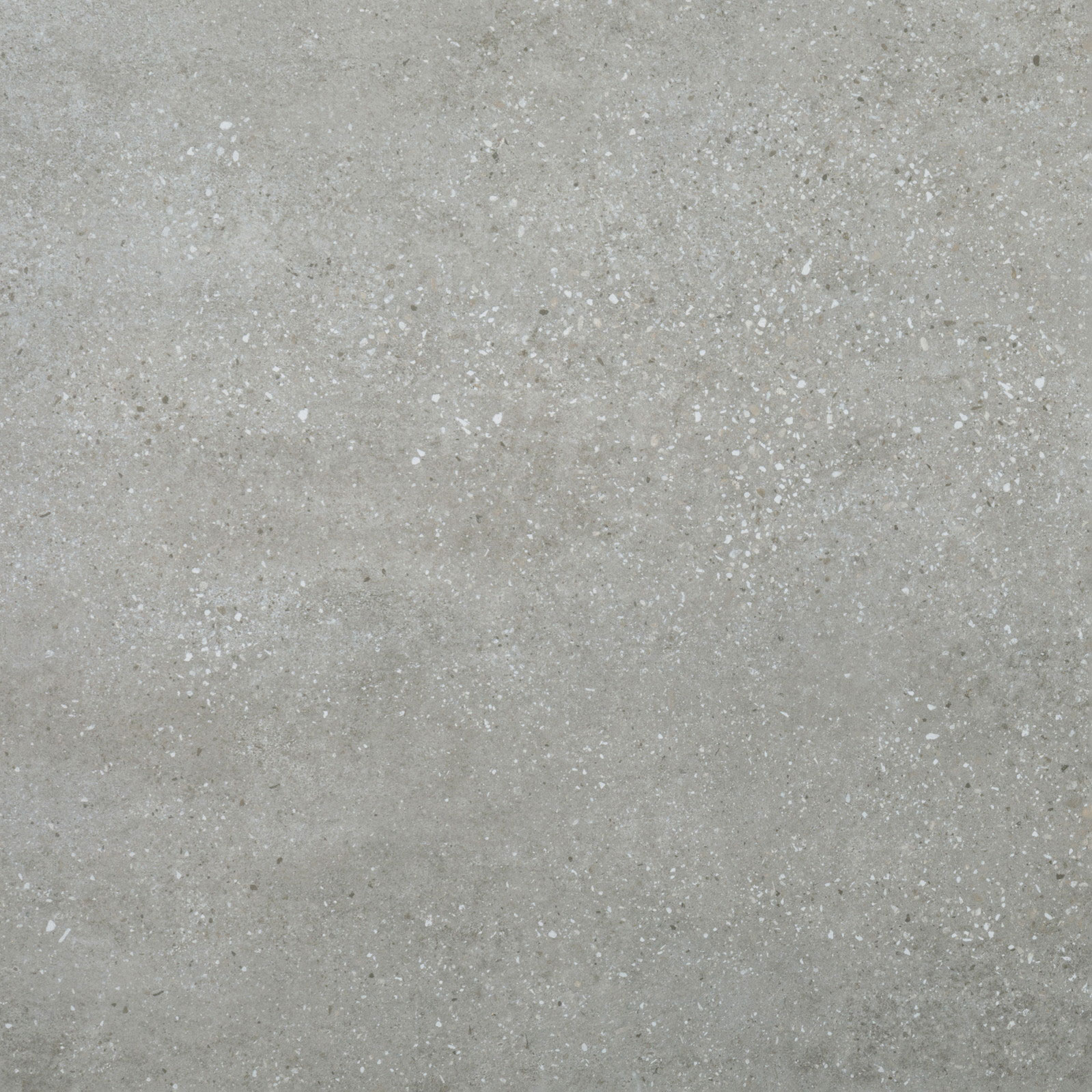 マスタープラン