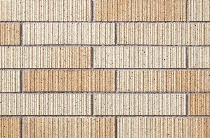 フォールズボーダー