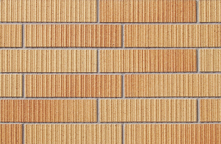 フォールズボーダー