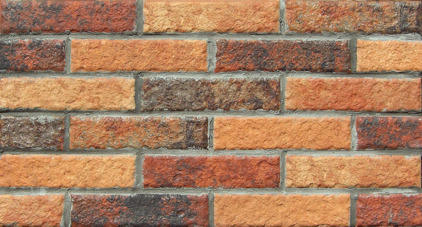 ラスティカボーダー