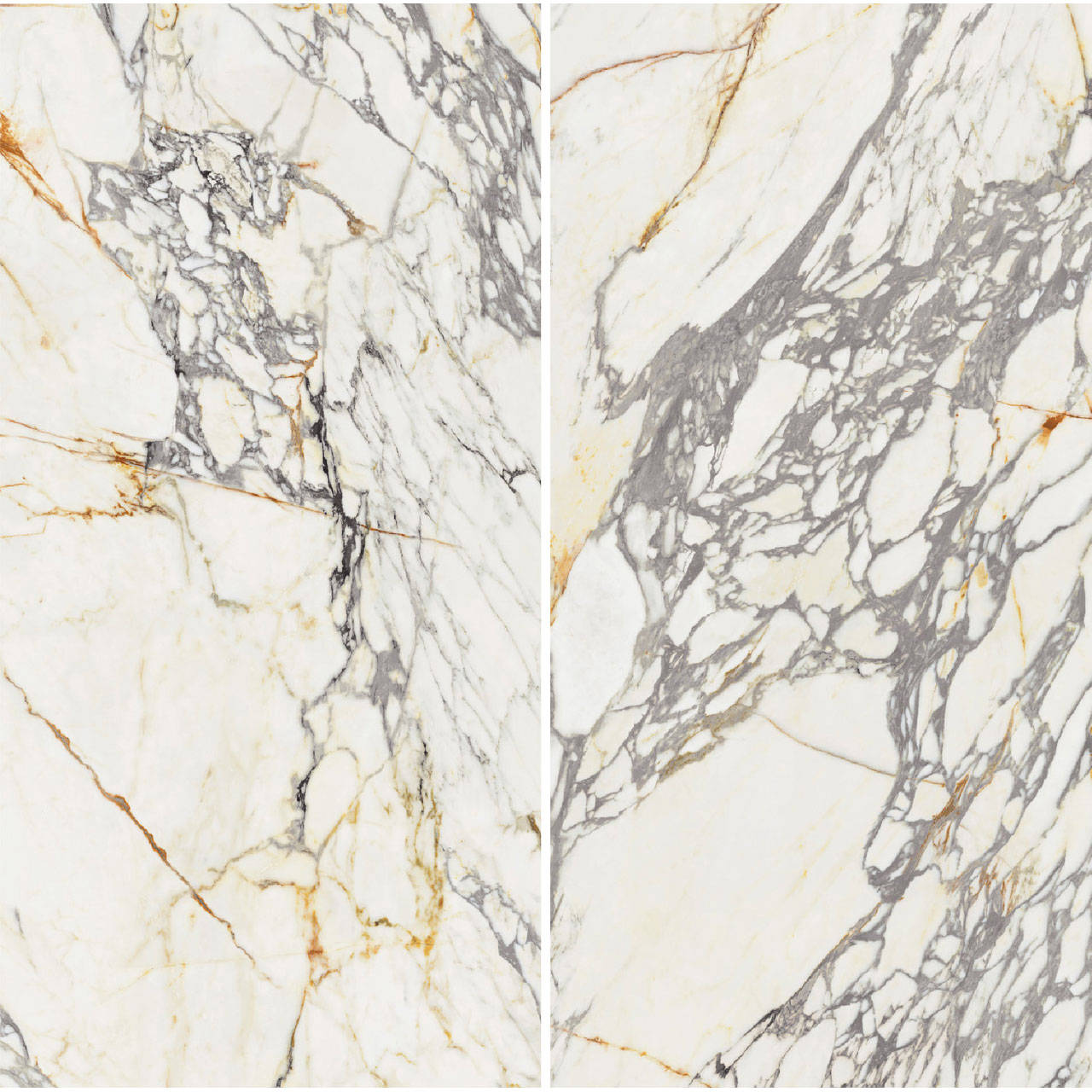 マーブルテイルズ