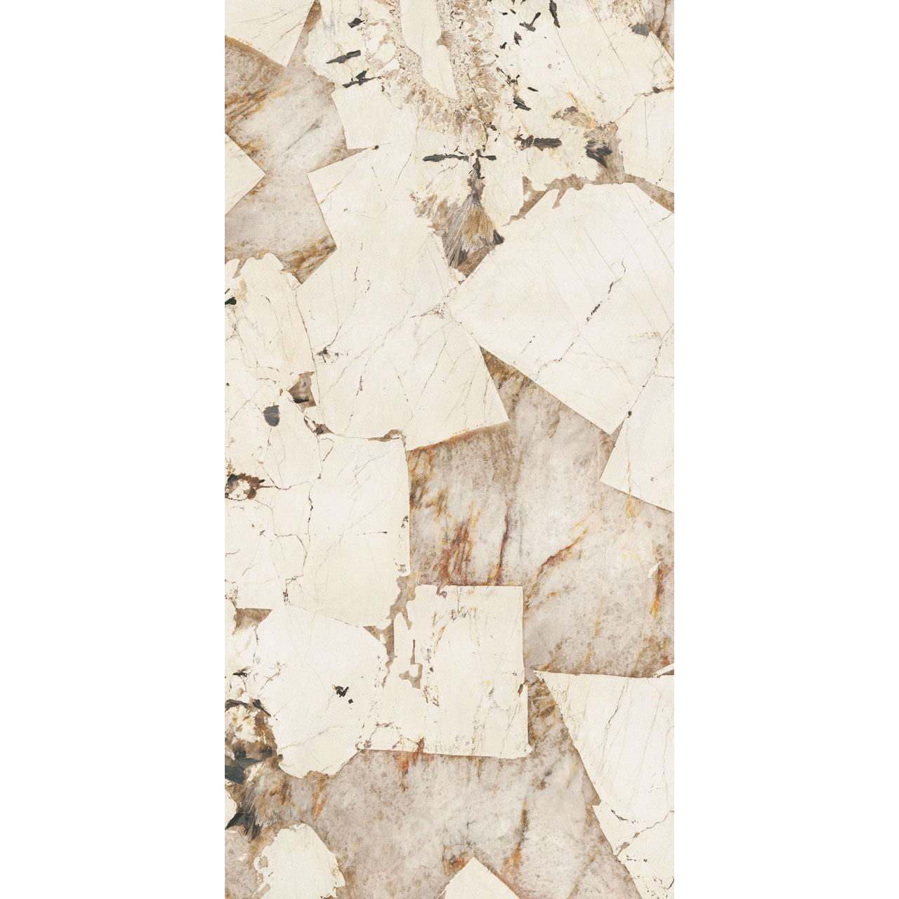 マルミ　マキシマム