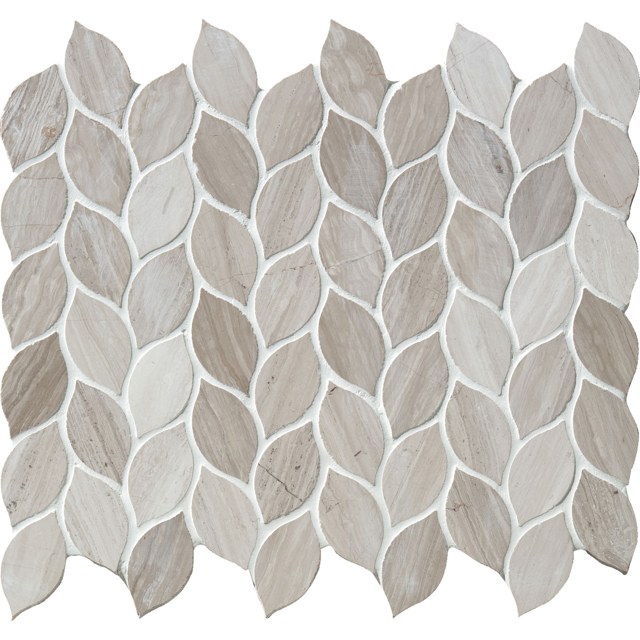 モロッカンリーフ