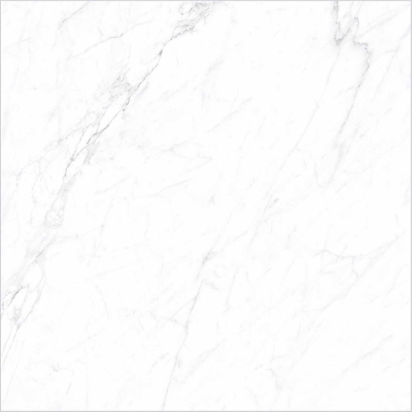 ネオ　トルファン