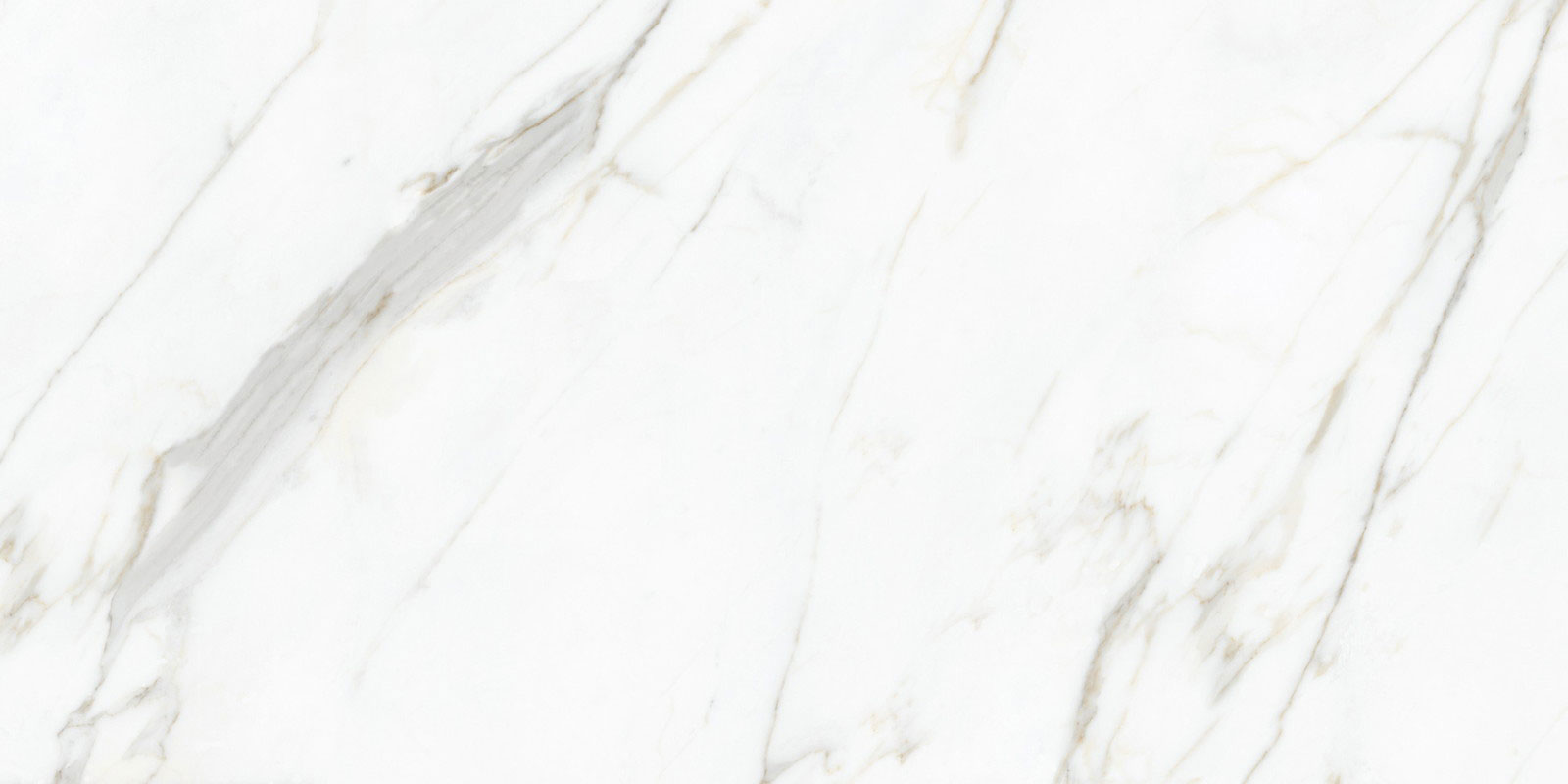 ネオ　トルファン