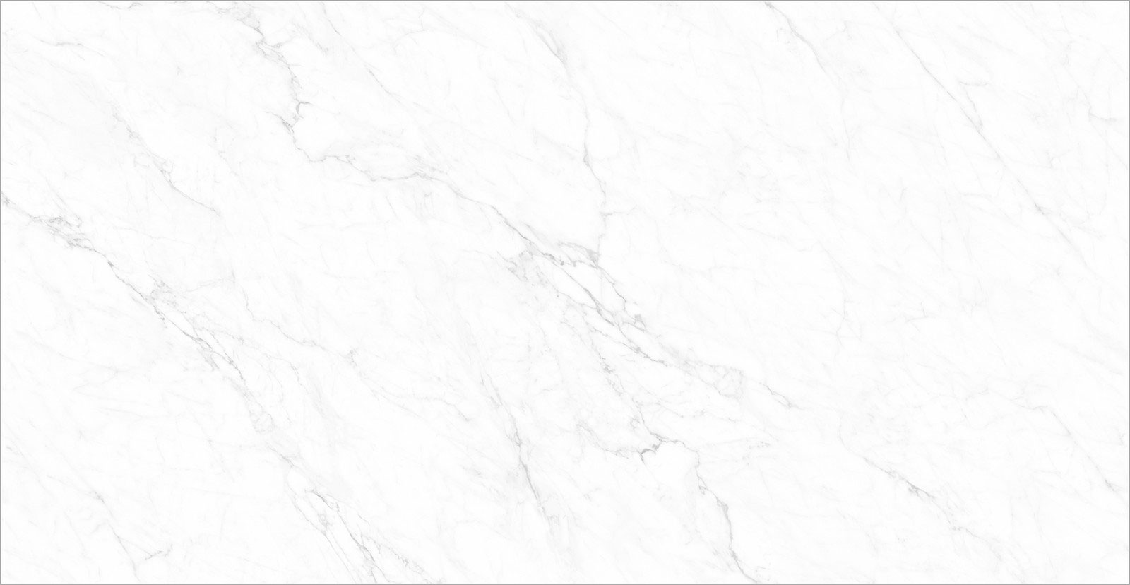 ネオ　トルファン